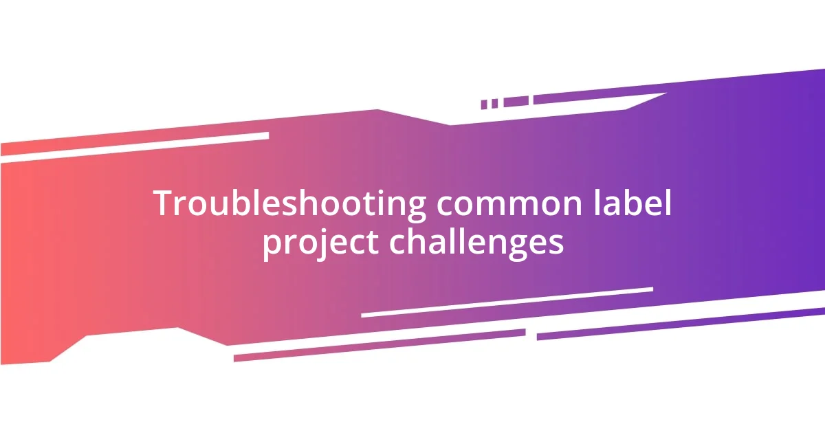 Troubleshooting common label project challenges